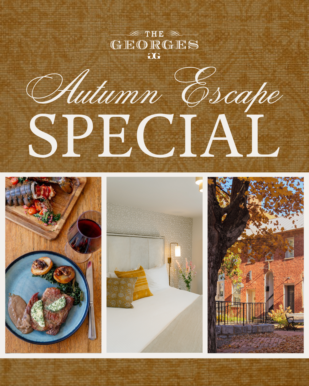 Bed and Bubbly Special Graphic